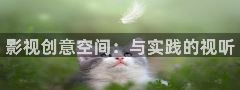 理论午夜片：影视创意空间：与实践的视听