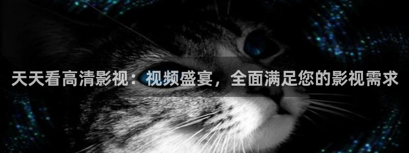2023最新理论电影