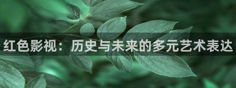 理论片免费网站