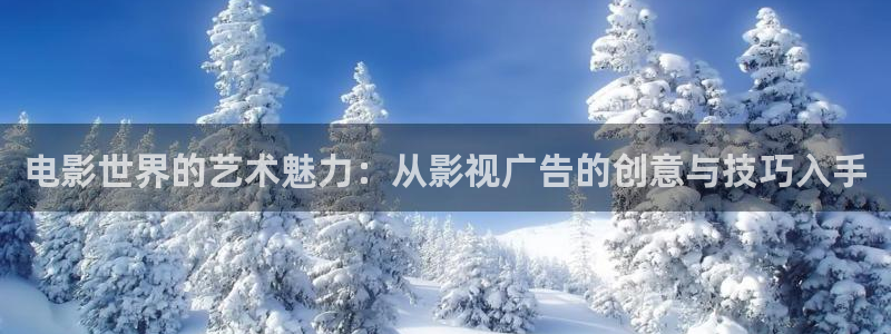 理论国产片在线播放