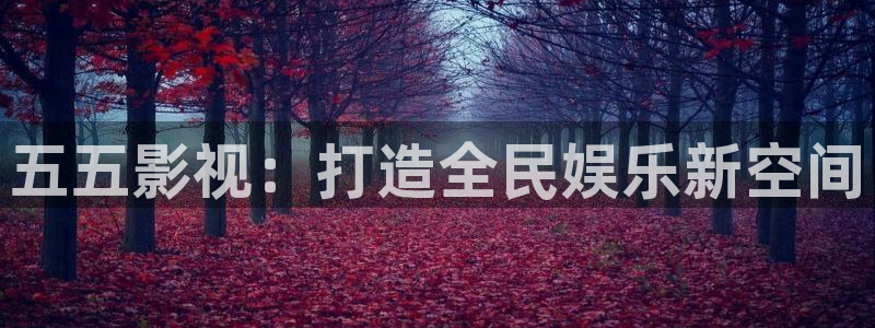 6080新视觉理论大全