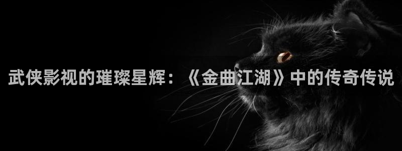 韩国理论电影姐姐的朋友：武侠影视的璀璨星辉：《金曲江湖》中的传奇传说