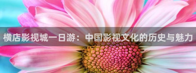 电影电视基础理论：横店影视城一日游：中国影视文化的历史与魅力