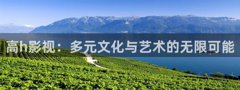 蜂鸟影院理论片
