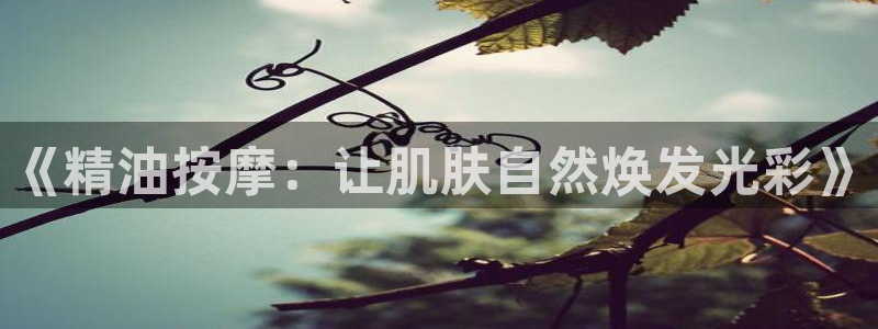 免费午夜理论电影：《精油按摩：让肌肤自然焕发光彩》