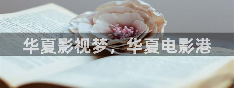 韩国理论电影保姆：华夏影视梦，华夏电影港