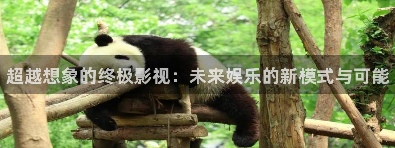 97影院理论午夜